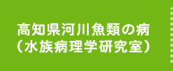 高知県河川魚類の病（水族病理学研究室）