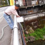 平成28年4月10日鮎放流の様子5