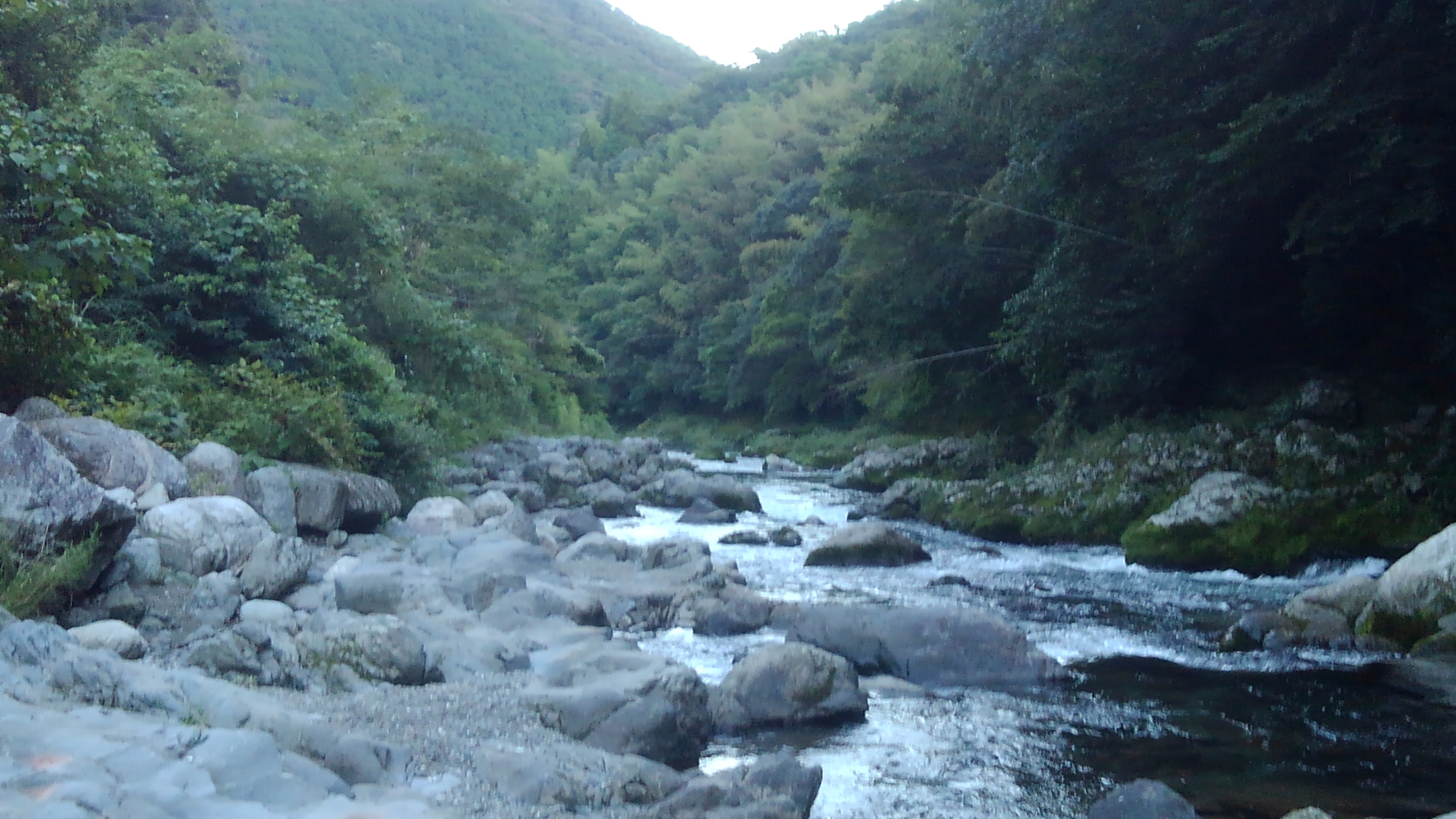 本流の様子 & 支流 吉原川