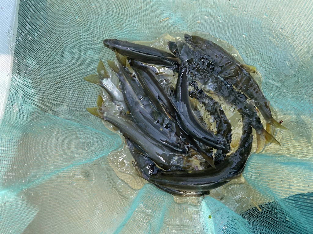Ｒ6.7.17②