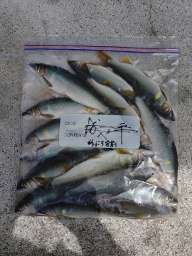 的渕宮前