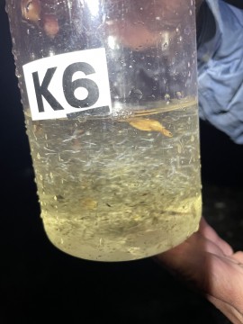 3E80D316-7634-4459-9F4E-AA15A26E5EC5